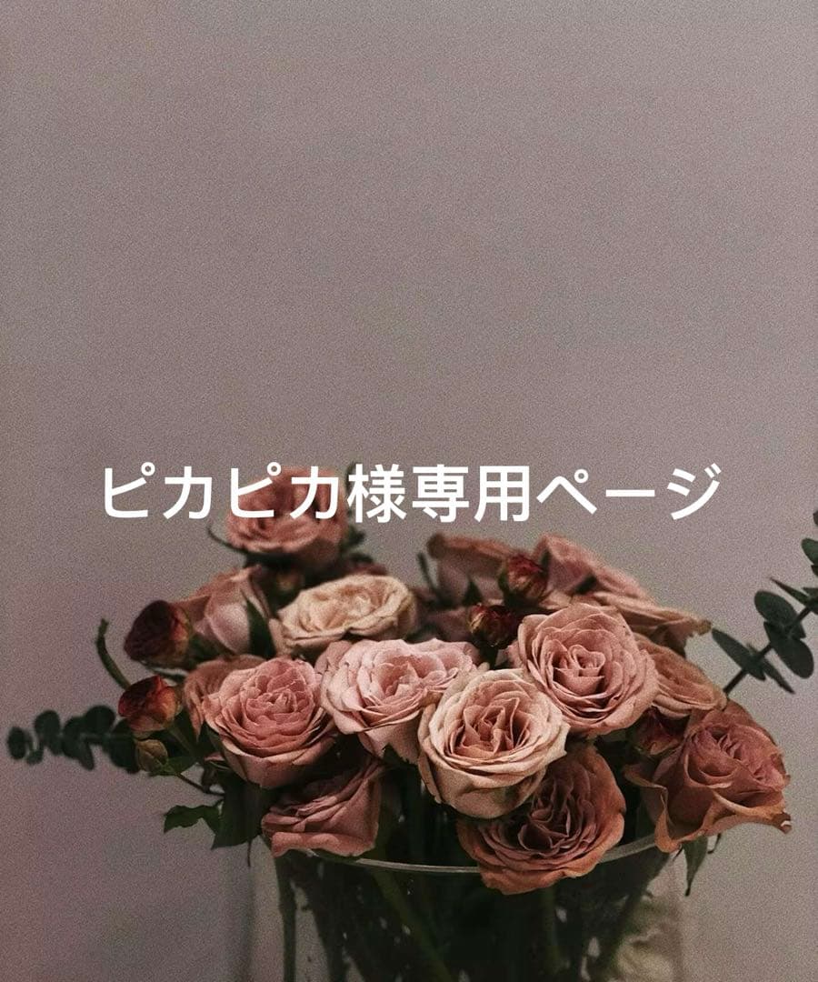 ピカピカページ